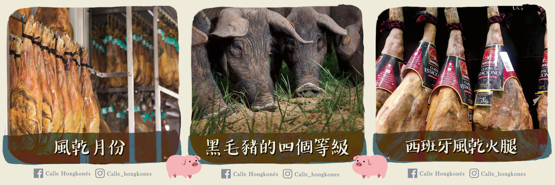 【西班牙國寶級名產 -Jamón】