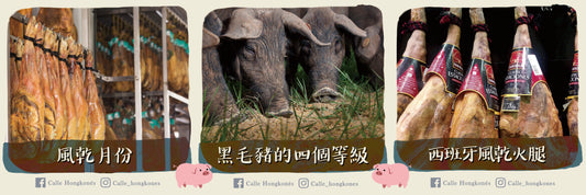 【西班牙國寶級名產 -Jamón】